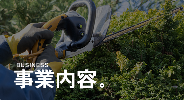 bnrhalf_business